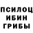 Галлюциногенные грибы мицелий kari trif