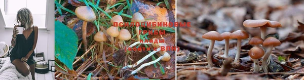 mix Заводоуковск