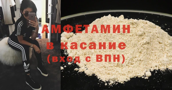 прущие грибы Заволжье