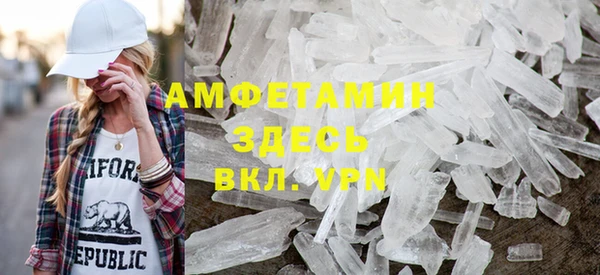 прущие грибы Заволжье