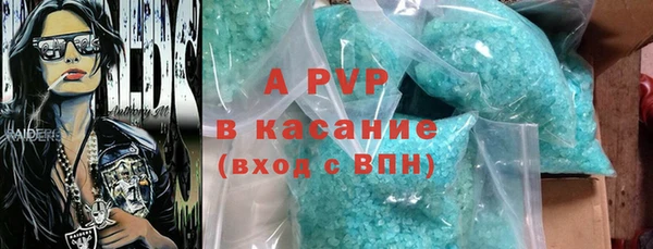 прущие грибы Заволжье