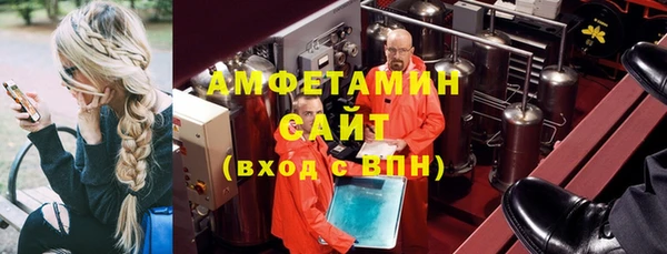прущие грибы Заволжье