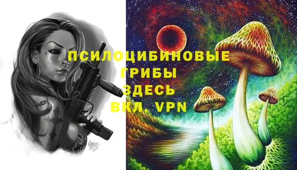 прущие грибы Заволжье
