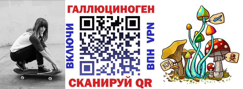 Купить закладки  Минусинск  Галлюциногенные грибы мухоморы 